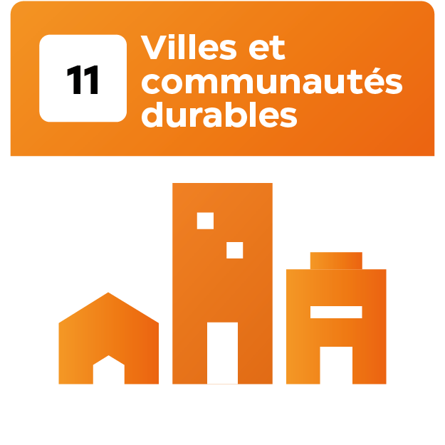 17 Objetif_Plan de travail 1 copie 11
