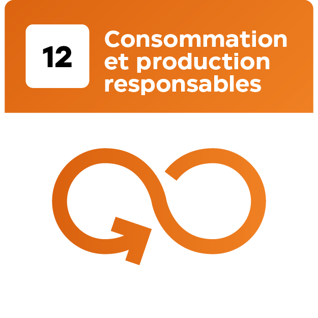 17 Objetif_Plan de travail 1 copie 12