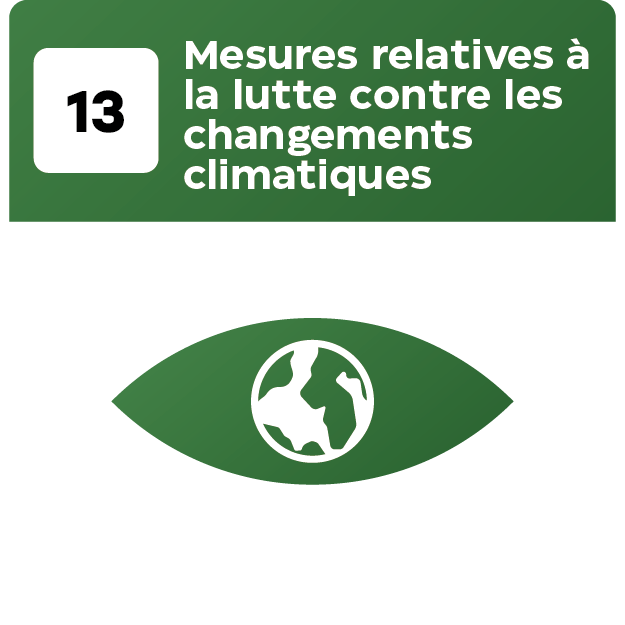 17 Objetif_Plan de travail 1 copie 13