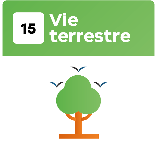 17 Objetif_Plan de travail 1 copie 14