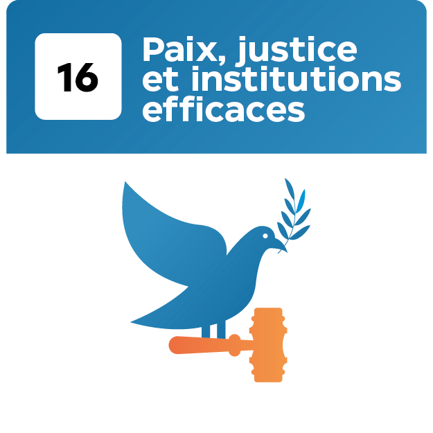 17 Objetif_Plan de travail 1 copie 15