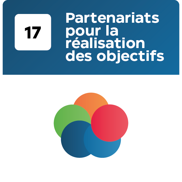 17 Objetif_Plan de travail 1 copie 16