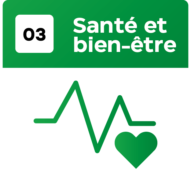 17 Objetif_Plan de travail 1 copie 2