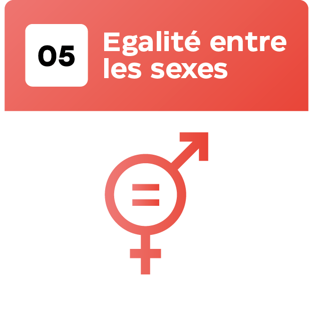 17 Objetif_Plan de travail 1 copie 4