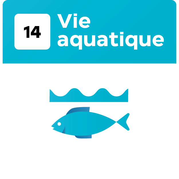 17 Objetif_Plan de travail 1 copie 5