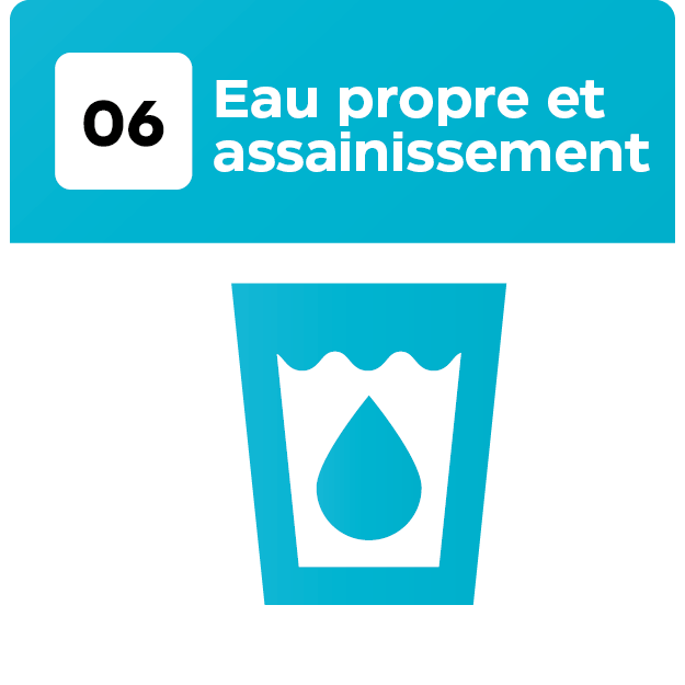 17 Objetif_Plan de travail 1 copie 6