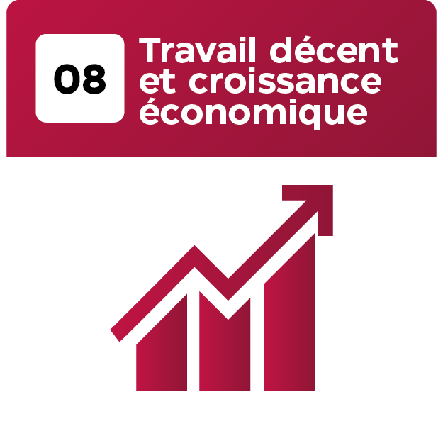 17 Objetif_Plan de travail 1 copie 8