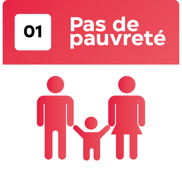 17 Objetif_Plan de travail 1